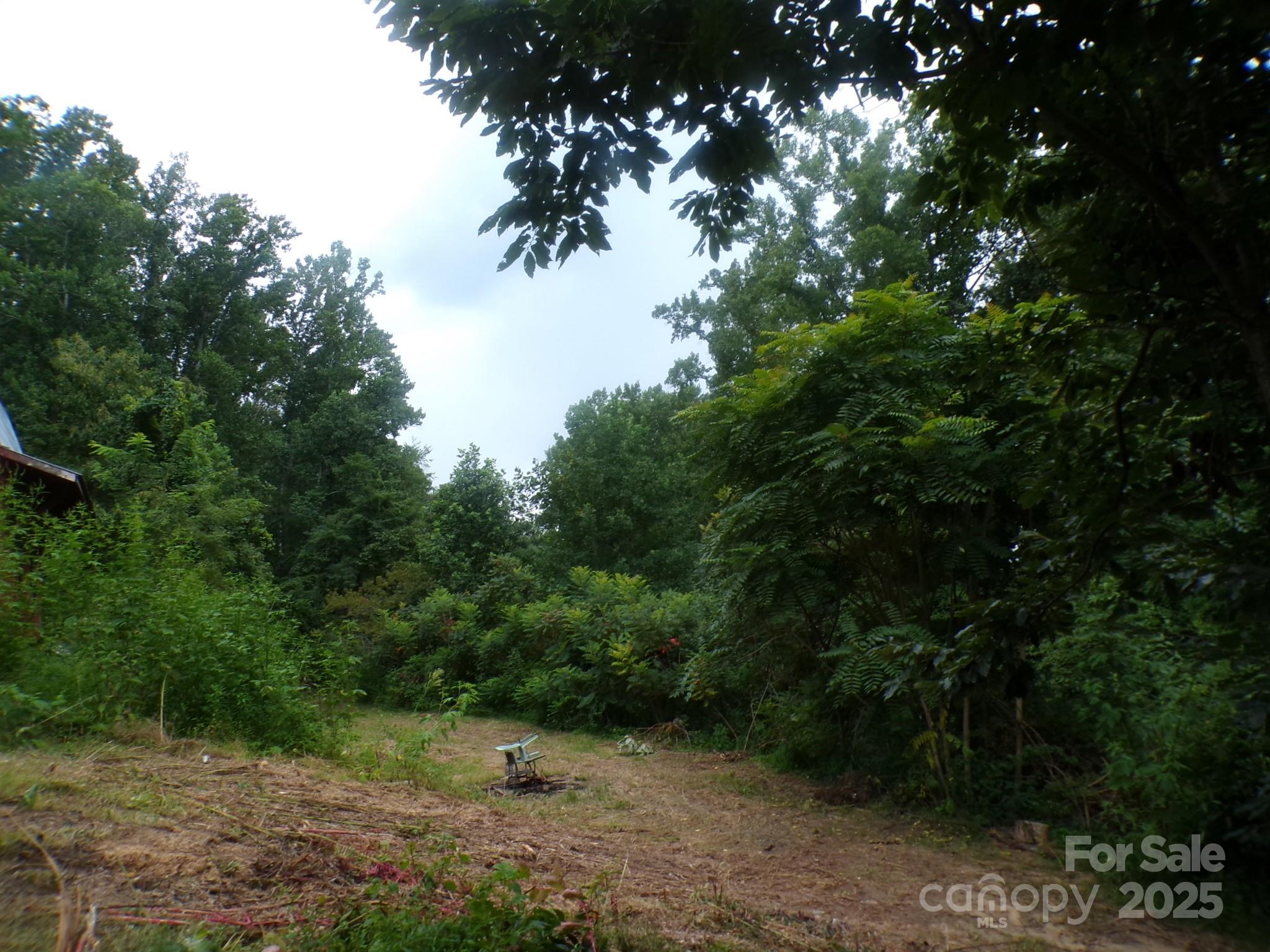 620 Hutch Mountain Road Fletcher, NC 28732 - Photo 18 of 22 a view of a forest
