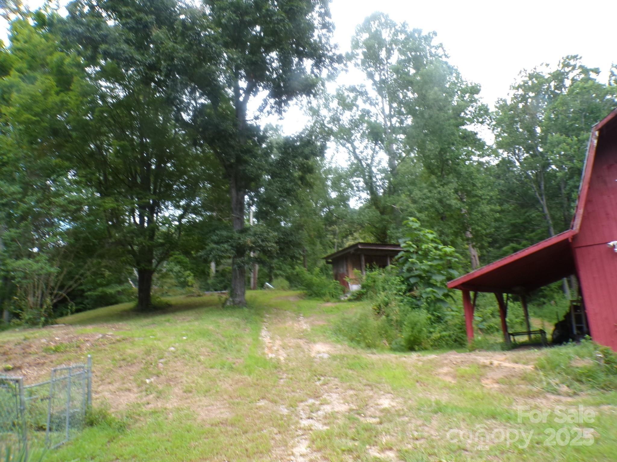 620 Hutch Mountain Road Fletcher, NC 28732 - Photo 6 of 22 a view of backyard with green space
