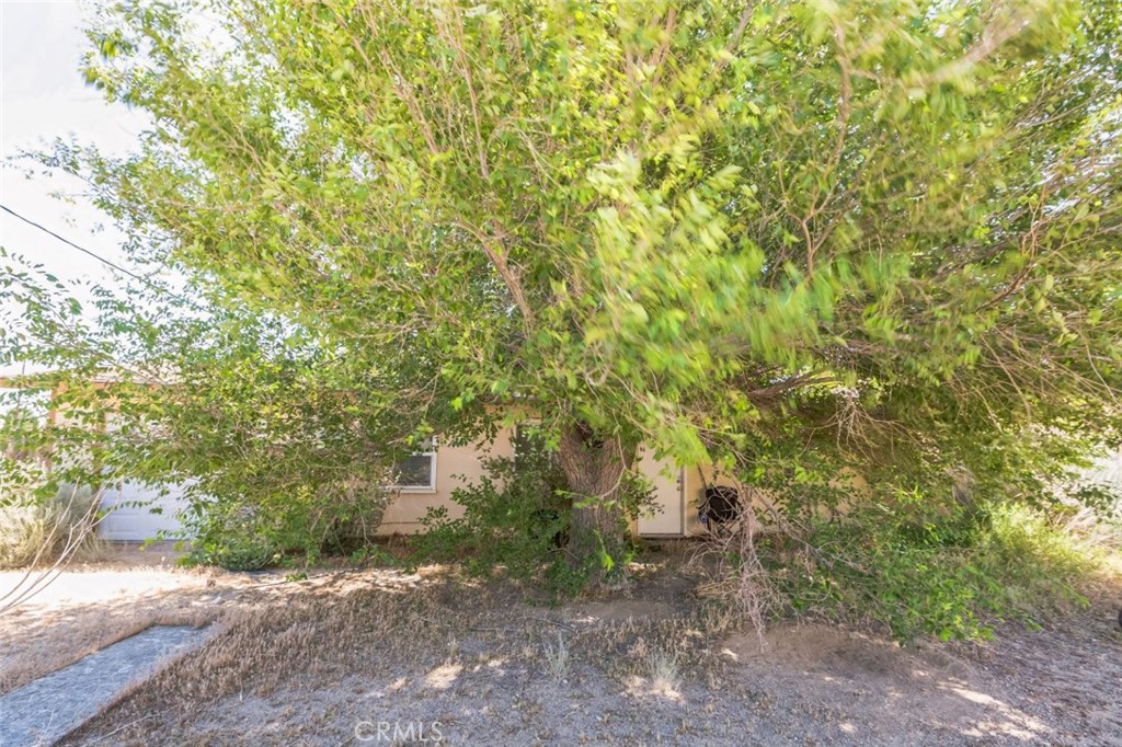 15917 Lee Street Mojave, CA 93501 - Photo 32 of 34 a view of a plants and trees in the background