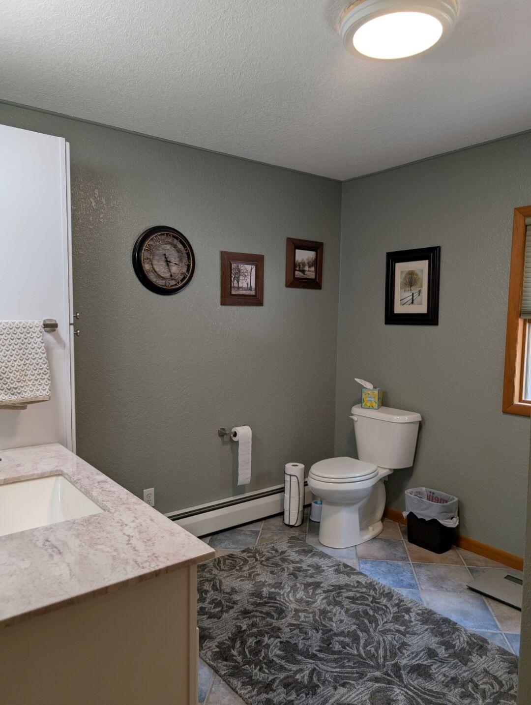 2878 East Spruce Road Spruce, MI 48762 - Photo 15 of 36 MAIN LEVEL BTH