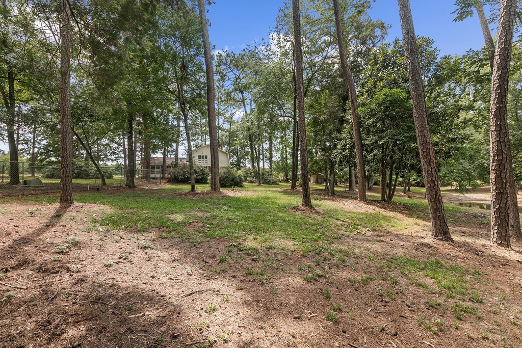 6850 North Co Road Columbia, AL 36319 - Photo 5 of 81