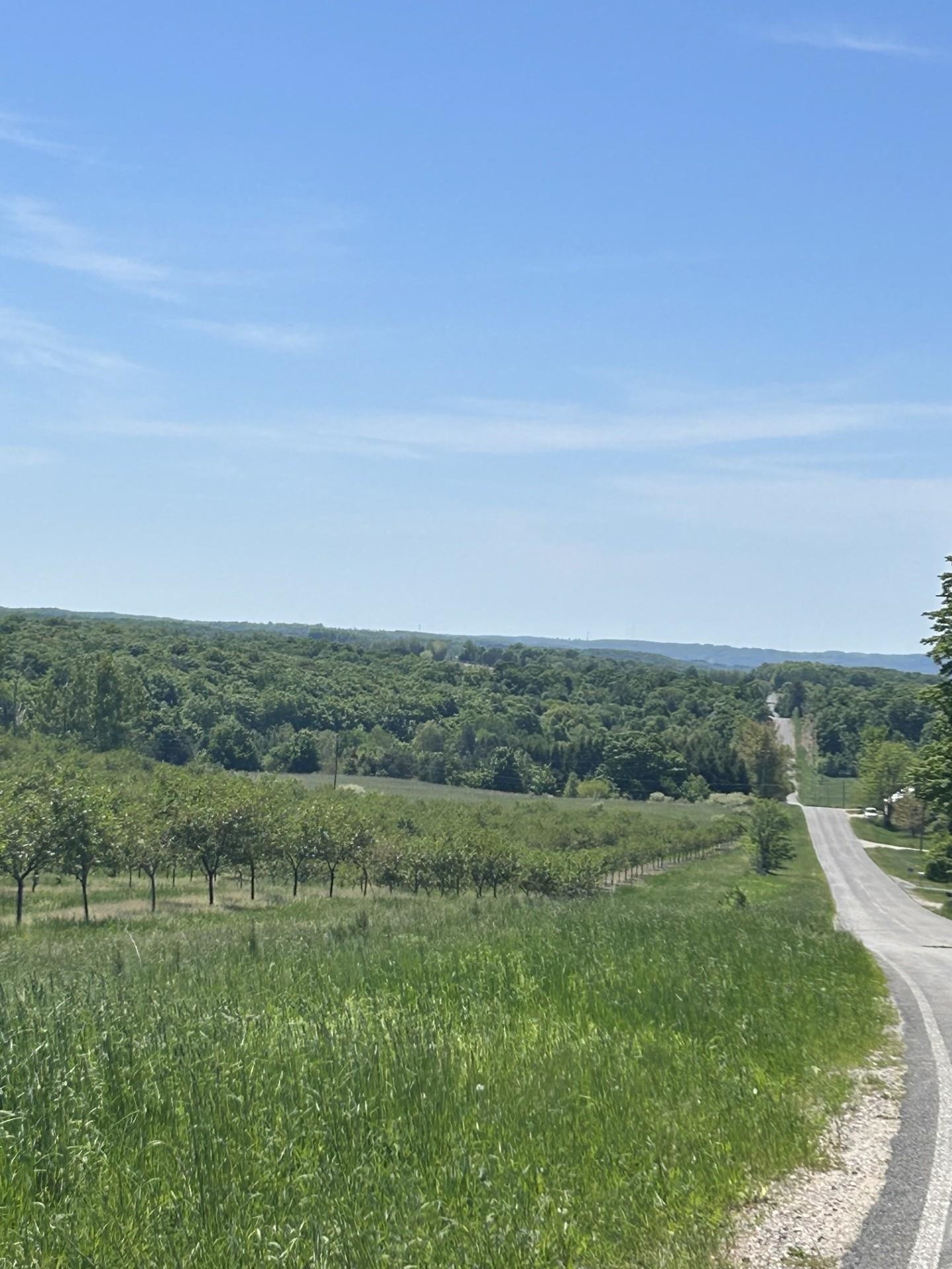 0 South Maple Valley Road Suttons Bay, MI 49682 - Photo 6 of 9