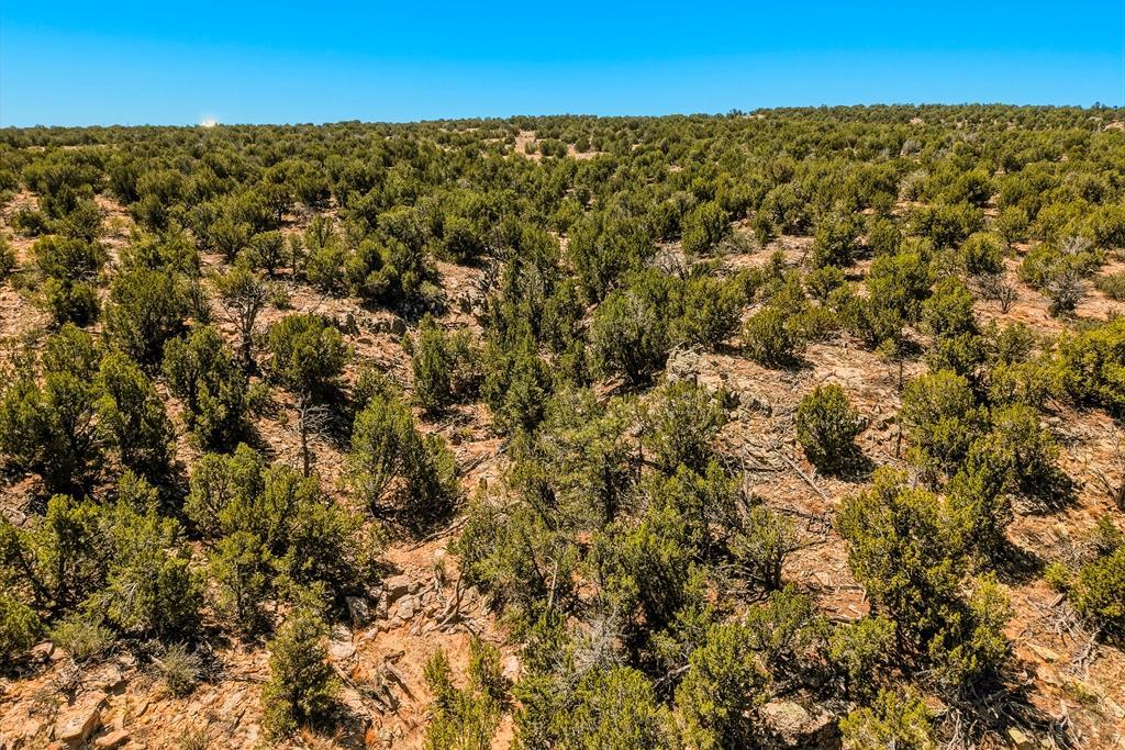 801 Turkey Rdg Road East Walsenburg, CO 81089 - Photo 61 of 65