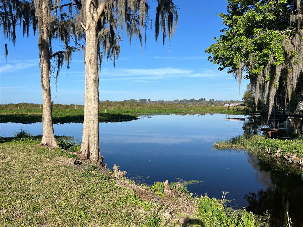 7961 West Riverbend Road Crystal River, FL 34428 - Photo 11 of 40 a view of a lake with a tree in the background
