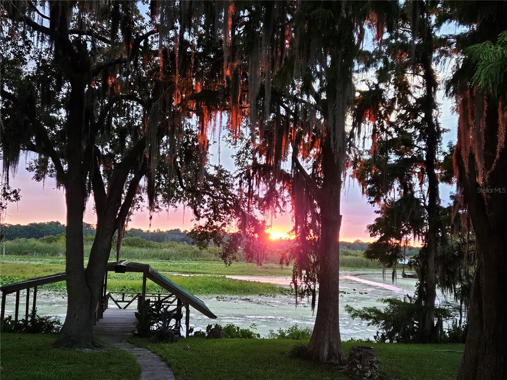 7961 West Riverbend Road Crystal River, FL 34428 - Photo 13 of 40 a view of a park with large trees