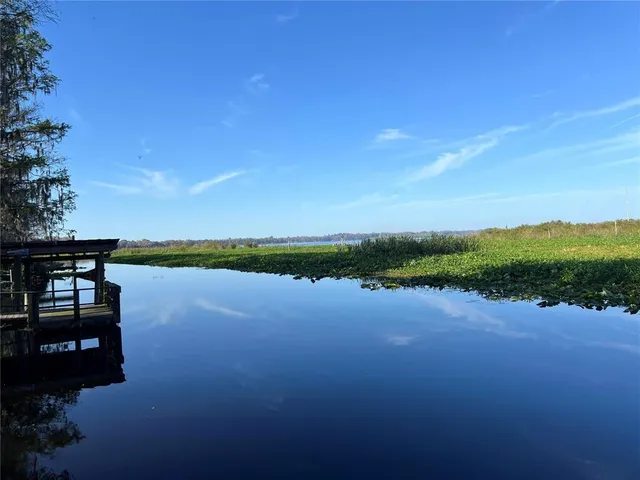 a view of a house with a tree in front of it