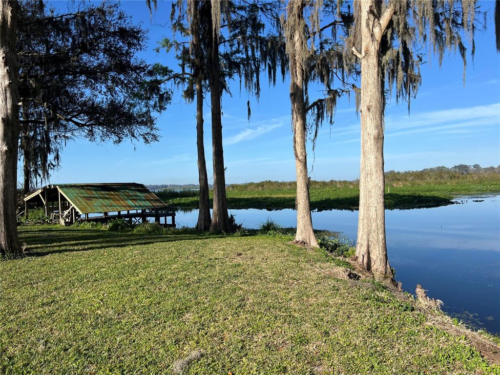 7961 West Riverbend Road Crystal River, FL 34428 - Photo 23 of 40 a view of a park with palm trees