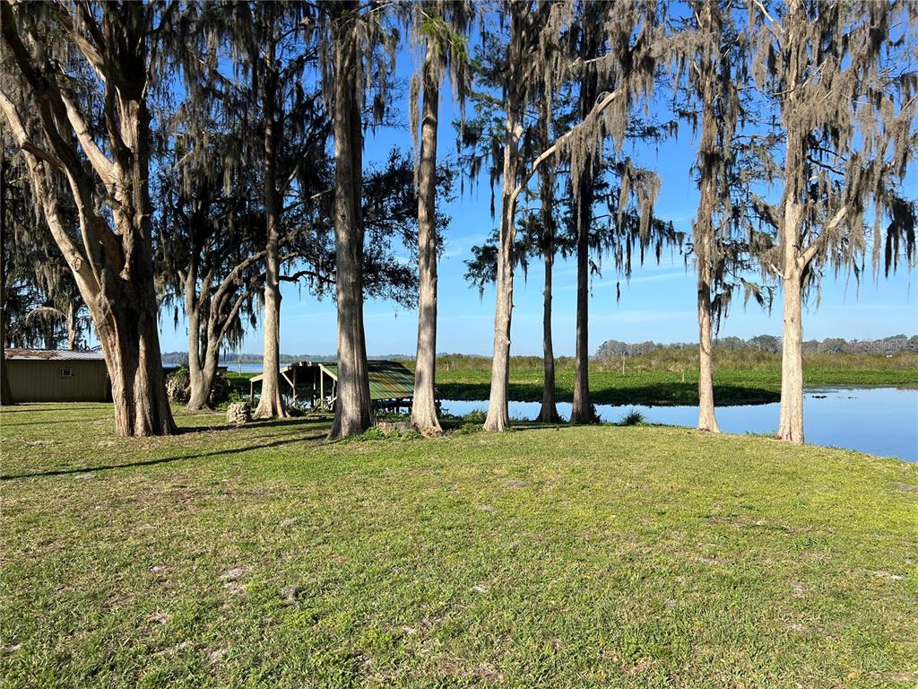 7961 West Riverbend Road Crystal River, FL 34428 - Photo 26 of 40 a view of a park with large trees
