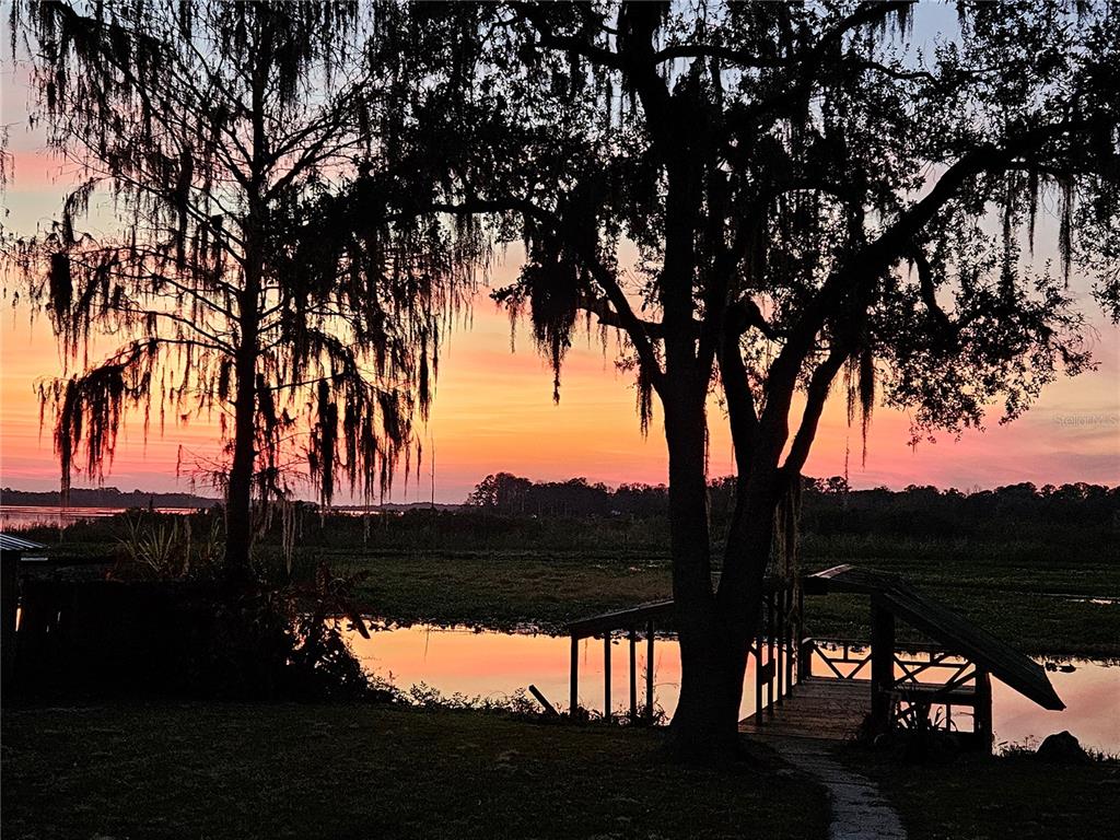 7961 West Riverbend Road Crystal River, FL 34428 - Photo 38 of 40 a view of tree in front of a house