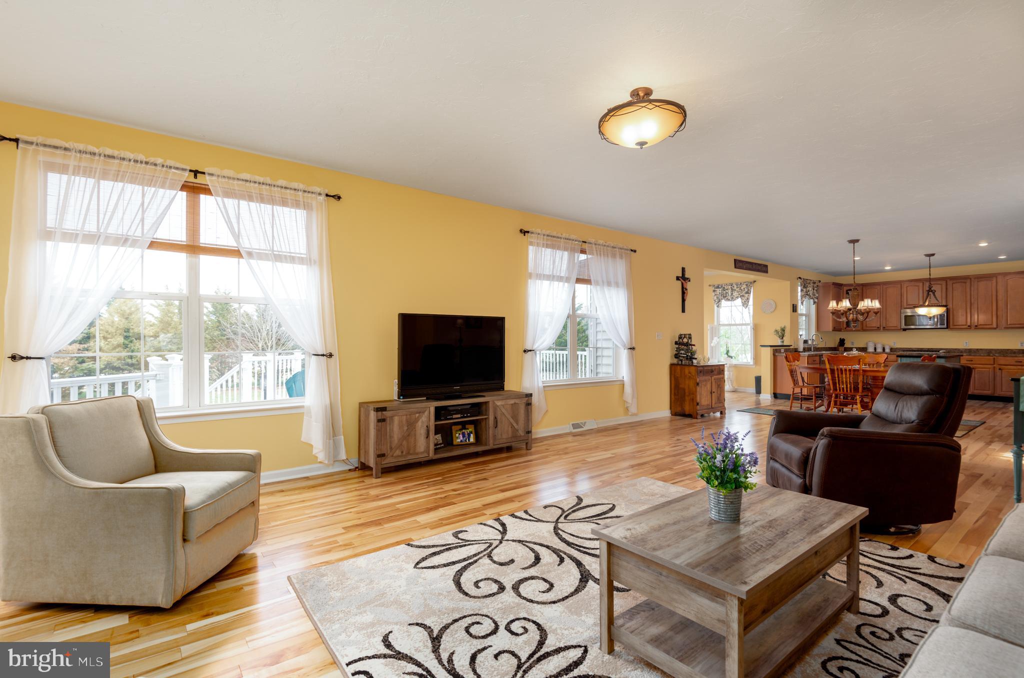 100 Ridgewood Drive Hanover, PA 17331 - Photo 17 of 60 Living room - level 1