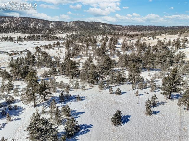 841 Jefferson Road Hartsel, CO 80449 - Photo 5 of 26