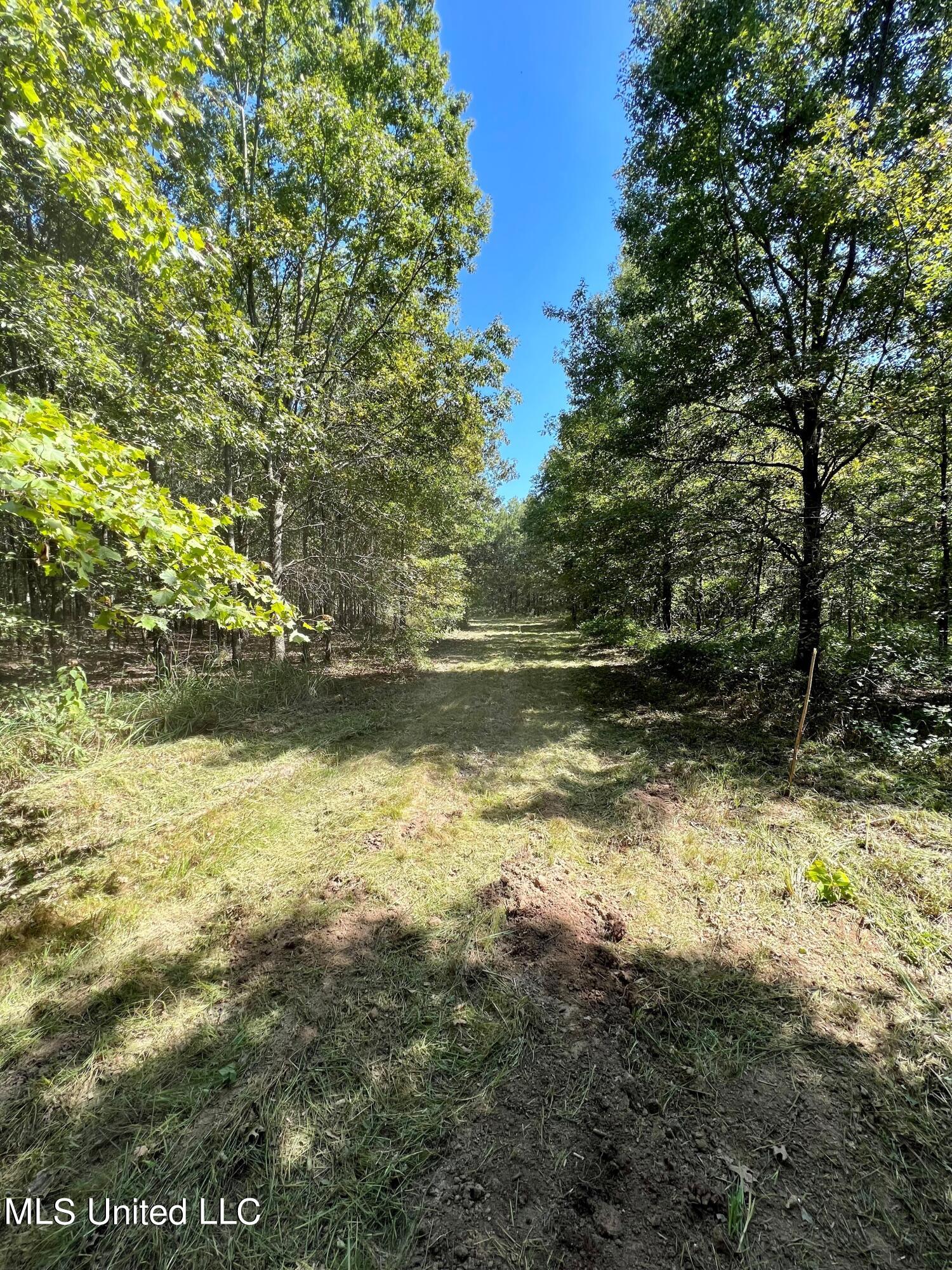 Dancy Rd Road Marks, MS 38646 - Photo 8 of 16 3