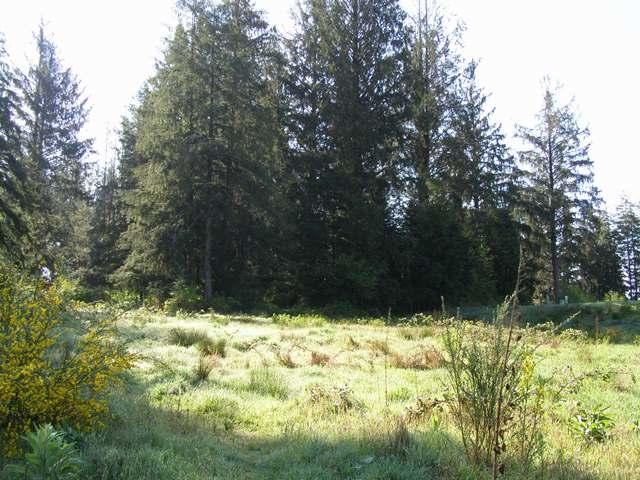 Tl#605 Latimer Road North Tillamook, OR 97141 - Photo 14 of 28 P5021229