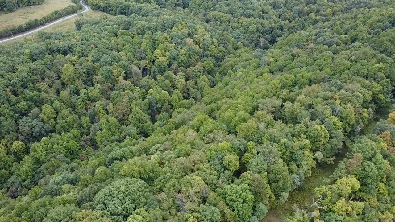 Sarton-wayside Rd Wayside Wv 24985 Union, WV 24983 - Photo 14 of 15 Gallery Image 14