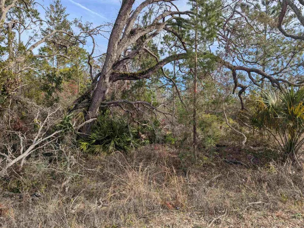 $38,850 | 0 East Royal Oak Drive, Perry, FL 32348