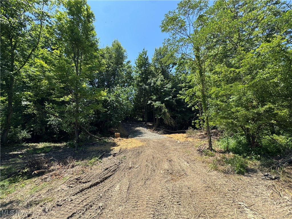3 Wood Road Madison, OH 44057 - Photo 12 of 13