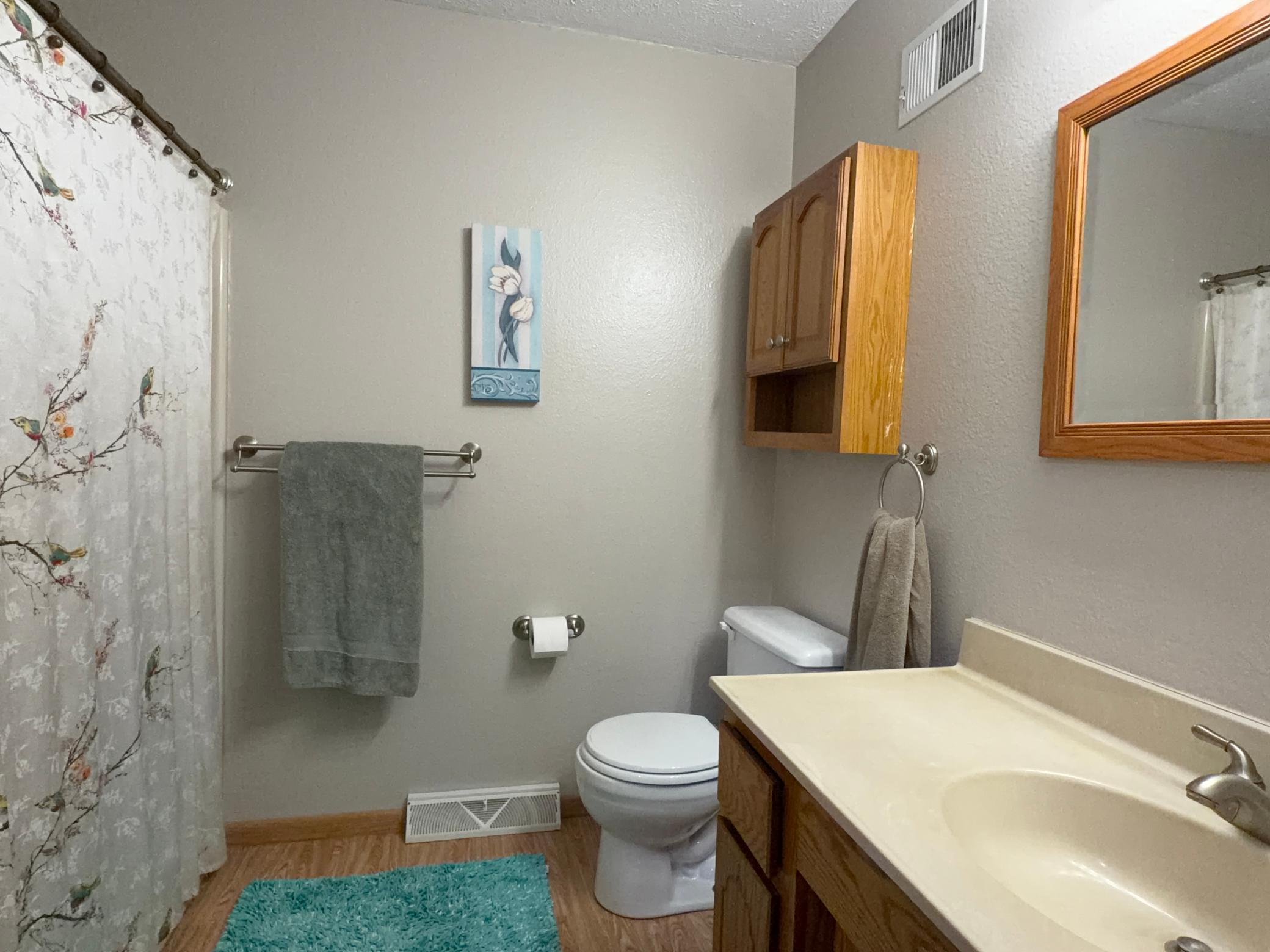 24251 Lake Beauty Road Long Prairie, MN 56347 - Photo 20 of 48 Gallery Image 20