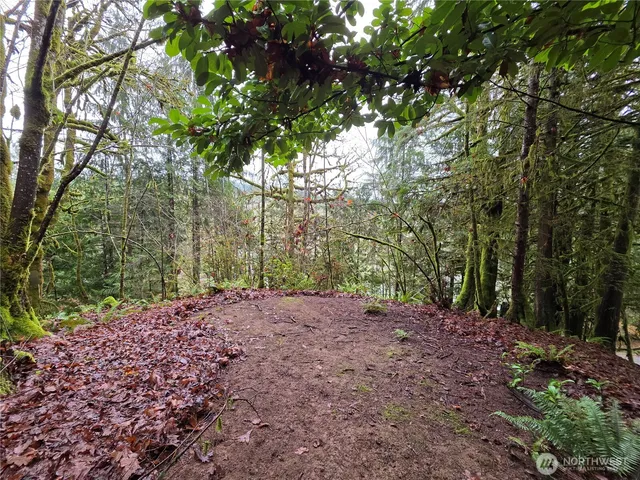 $100,500 | 71 Hilltop Court, Brinnon, WA 98320