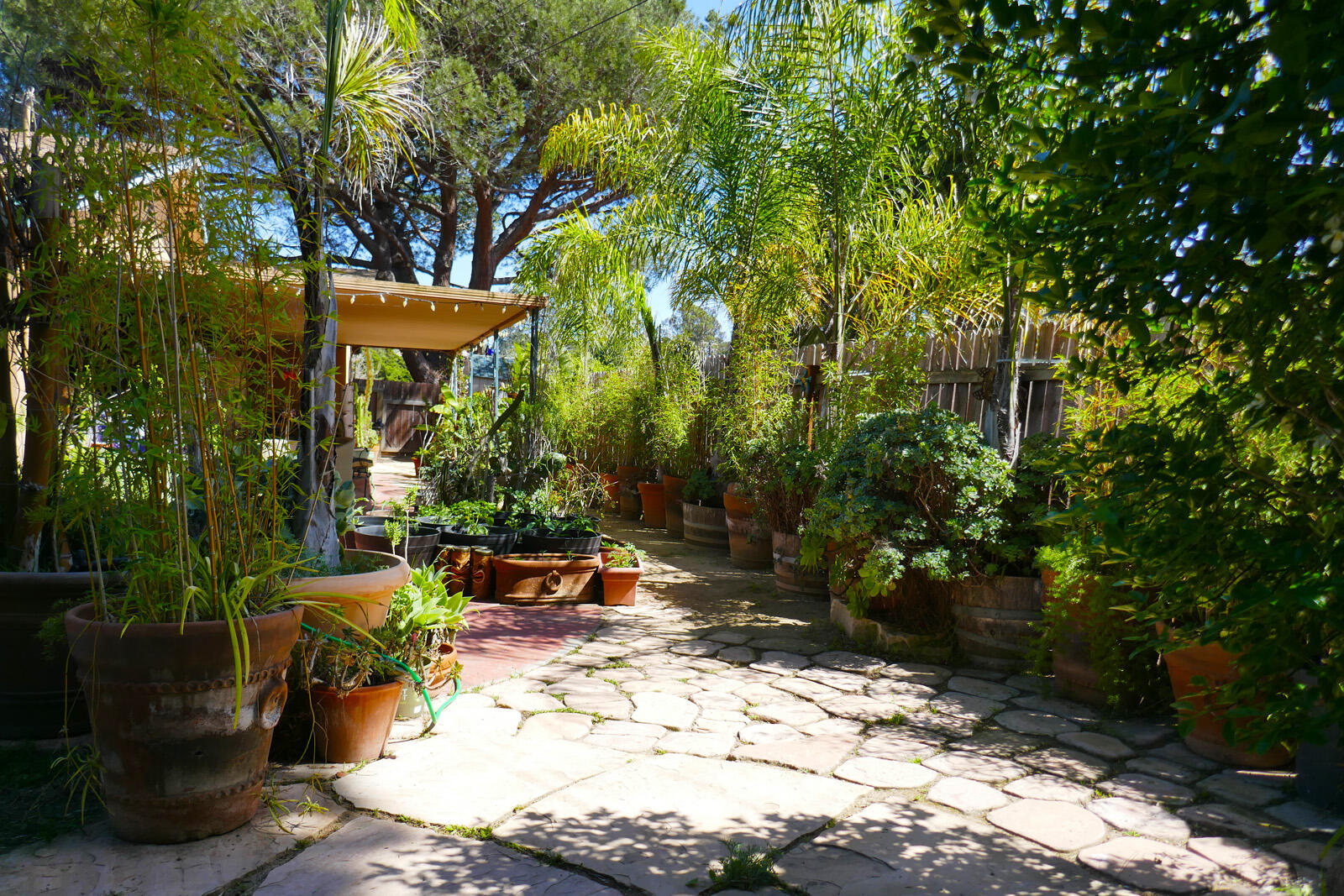 4217 Encore Drive Santa Barbara, CA 93110 - Photo 54 of 84 garden38