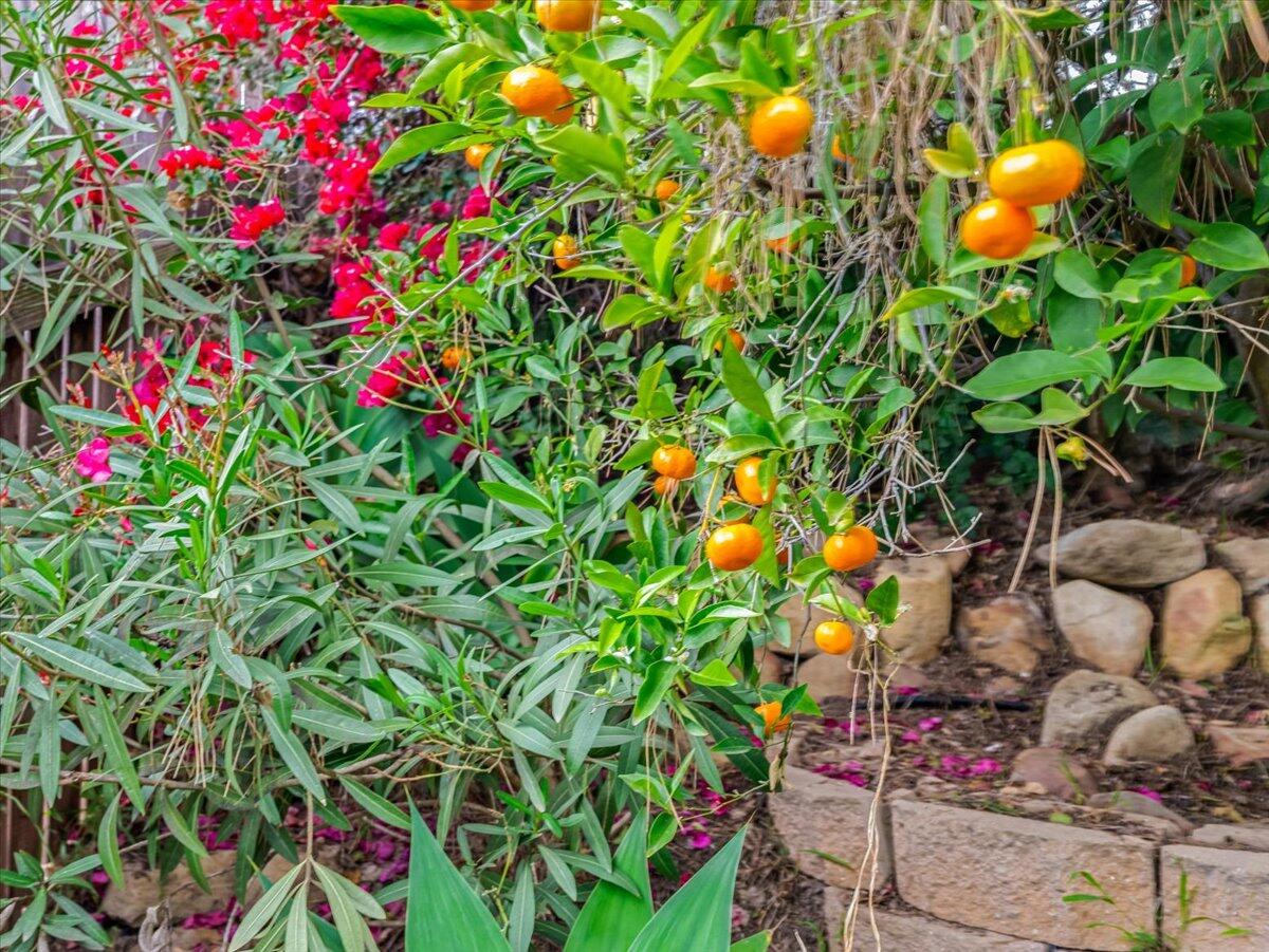 4217 Encore Drive Santa Barbara, CA 93110 - Photo 56 of 84 54-Central Coast Media & Marketing _ 421