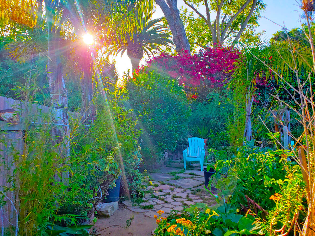 4217 Encore Drive Santa Barbara, CA 93110 - Photo 81 of 84 sb_garden106-1