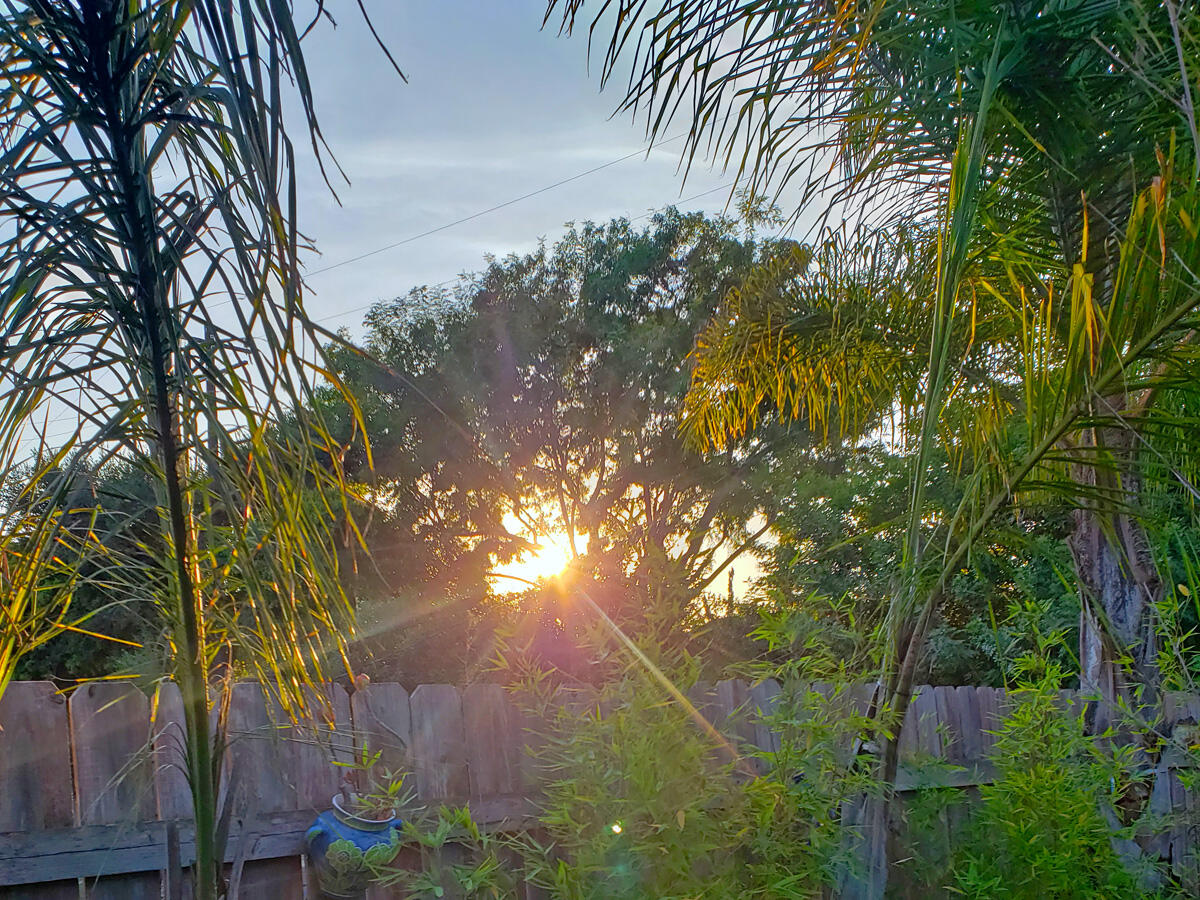 4217 Encore Drive Santa Barbara, CA 93110 - Photo 82 of 84 encore_pergola16