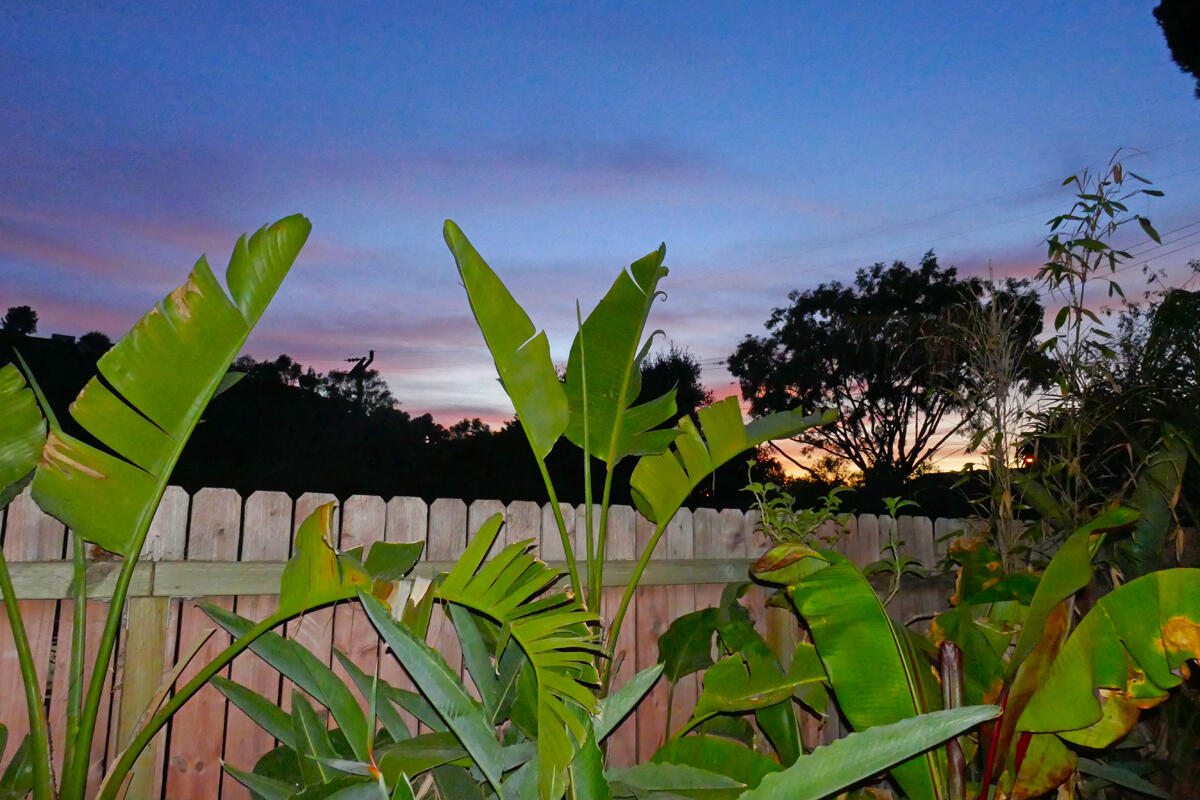 4217 Encore Drive Santa Barbara, CA 93110 - Photo 83 of 84 patio19