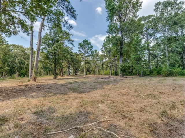 a view of outdoor space and garden