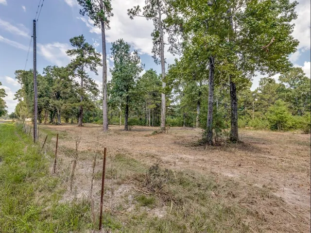 a view of outdoor space with garden