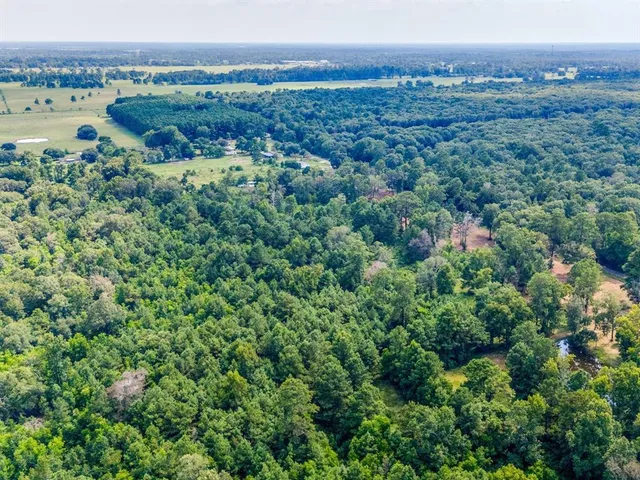 an aerial view of a houses with a lush green forest