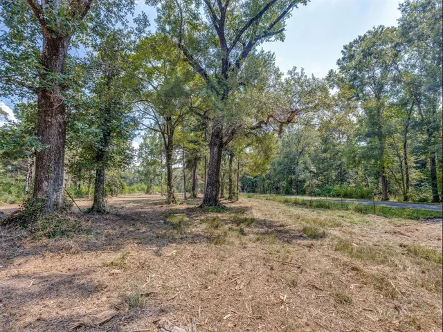 a fire hydrant in the middle of a forest