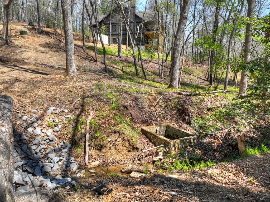 158 Spring Run Drive Blue Ridge, GA 30513 - Photo 66 of 88