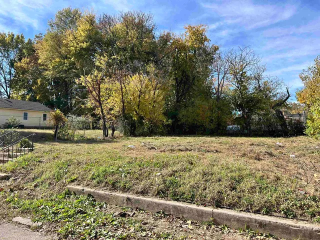 a view of a yard with trees
