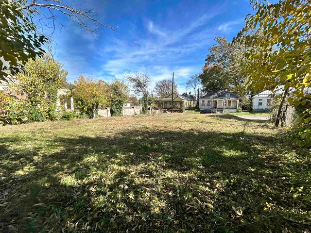 a view of a yard with plants and trees