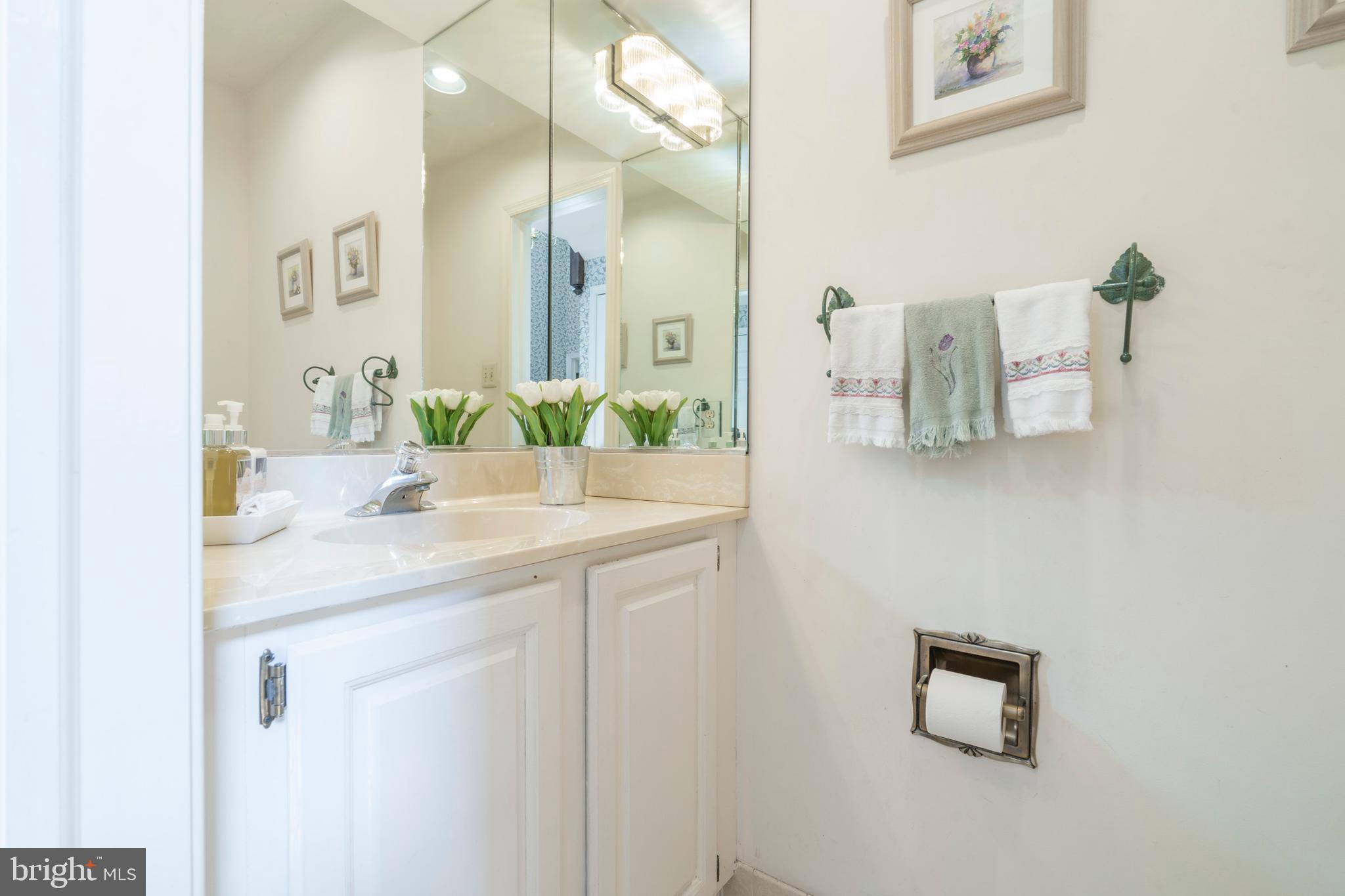 14 Highfield Lane Wayne, PA 19087 - Photo 13 of 42 Formal Powder Room On 1st Floor (1 of 2 Powder Rm)