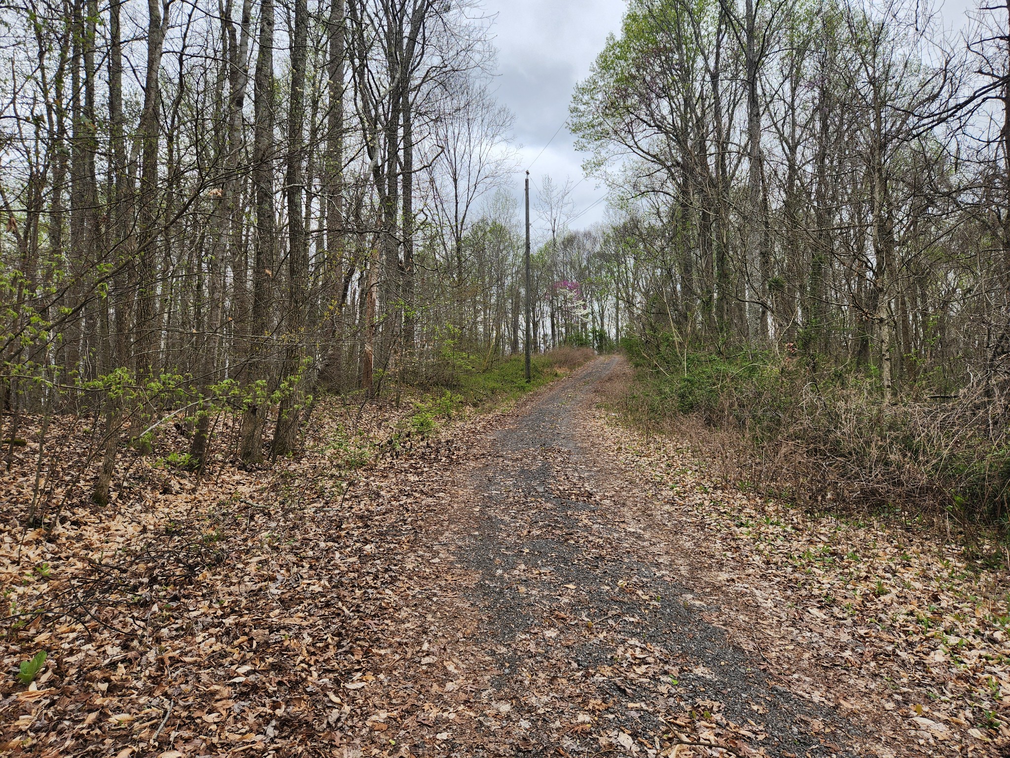 0 Wells Pointe Road Southeast Ashland City, TN 37015 - Photo 13 of 14 Gallery Image 13