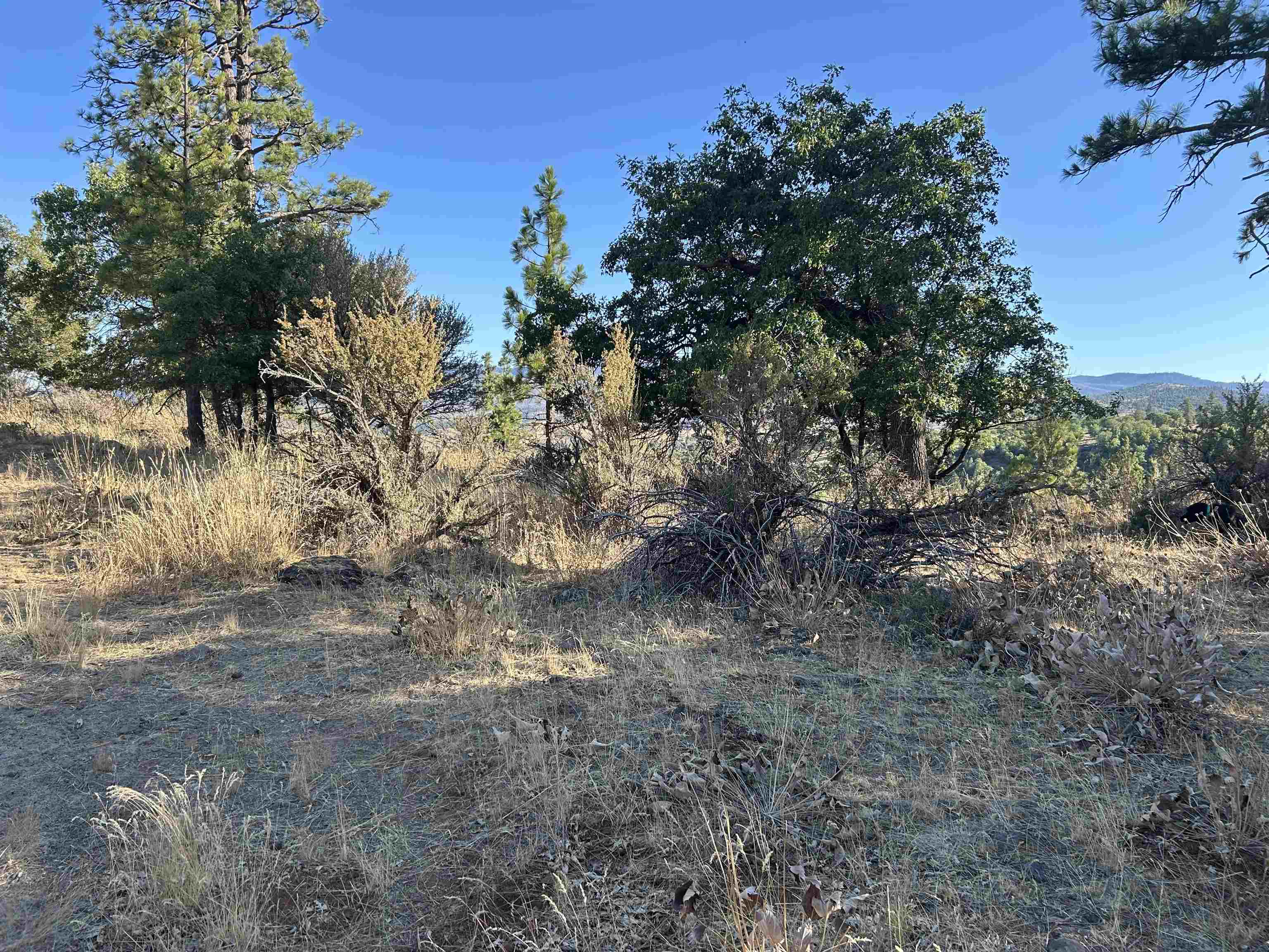 0 Inspiration Point Road Susanville, CA 96130 - Photo 9 of 9 Gallery Image 9