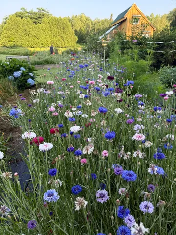 $569,000 | 163 Ayer Ridge Road, Freedom, ME 04941