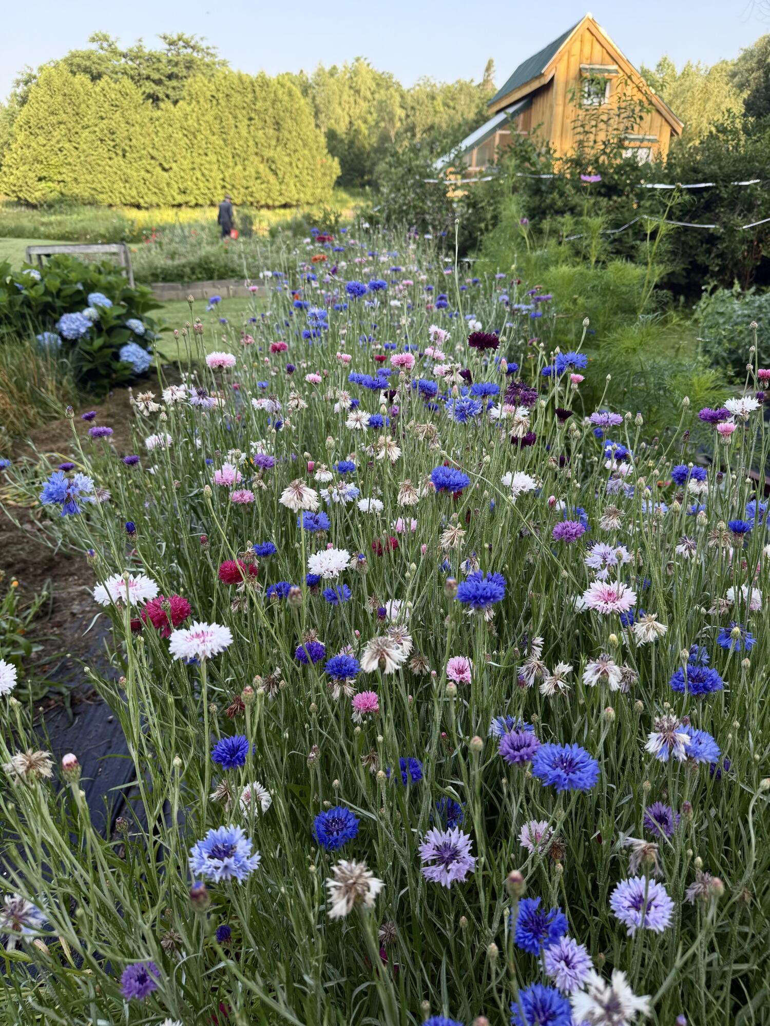 163 Ayer Ridge Road Freedom, ME 04941 - Photo 67 of 74 IMG_6030