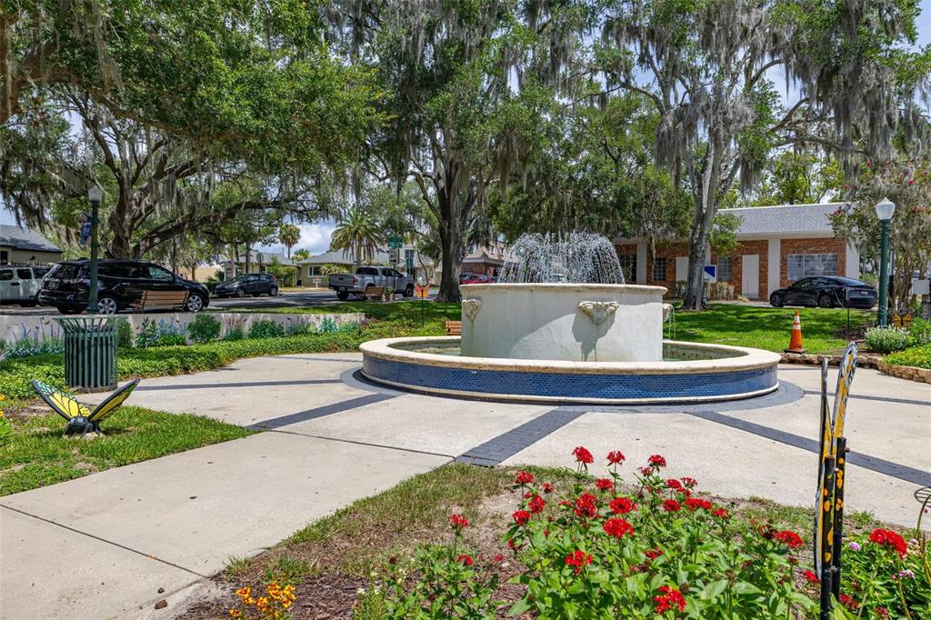 367 August Fern Loop Mount Dora, FL 32757 - Photo 59 of 90