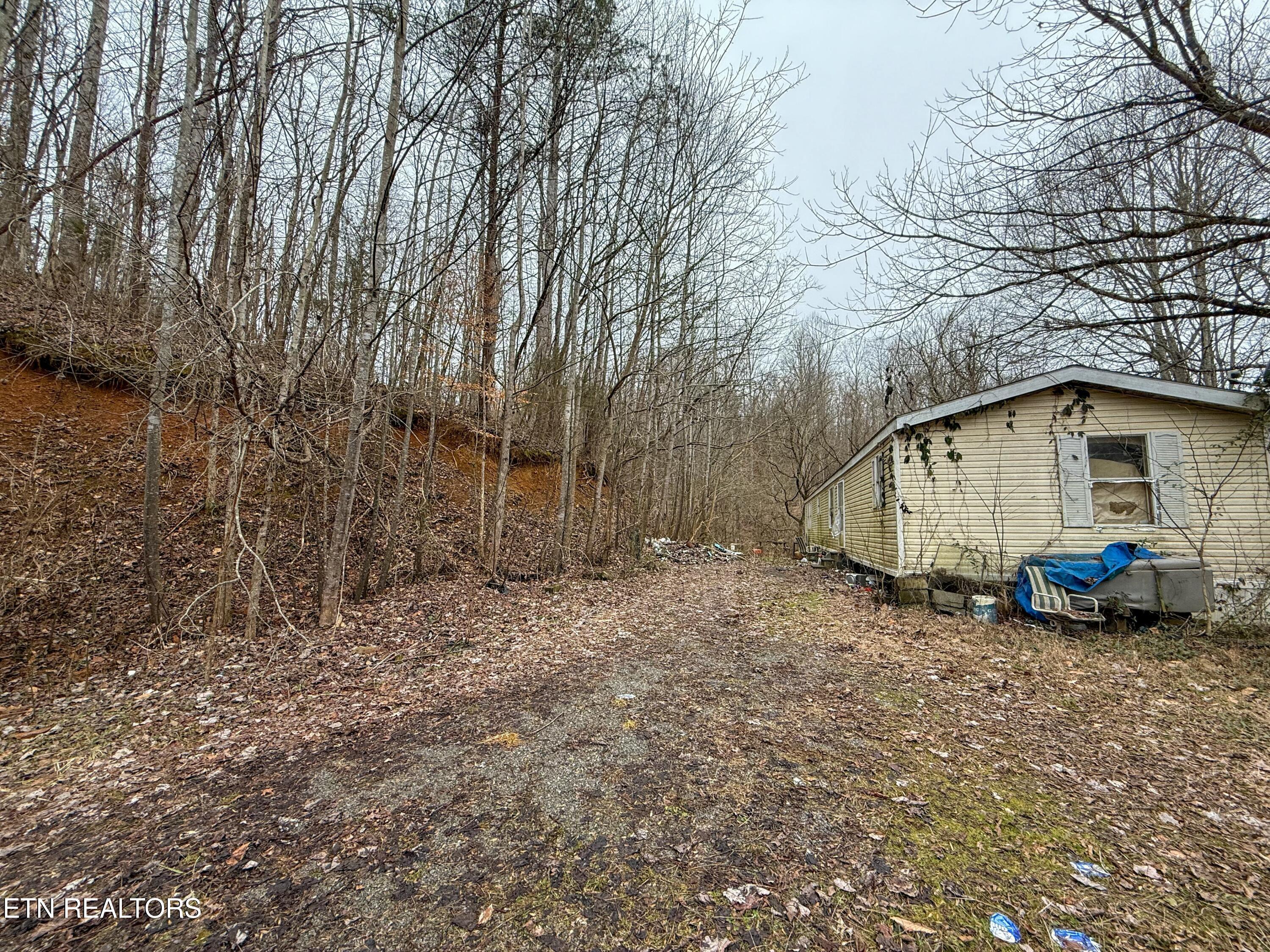 503 Sugar Loaf Road Seymour, TN 37865 - Photo 17 of 28 tempImagez3aCIN