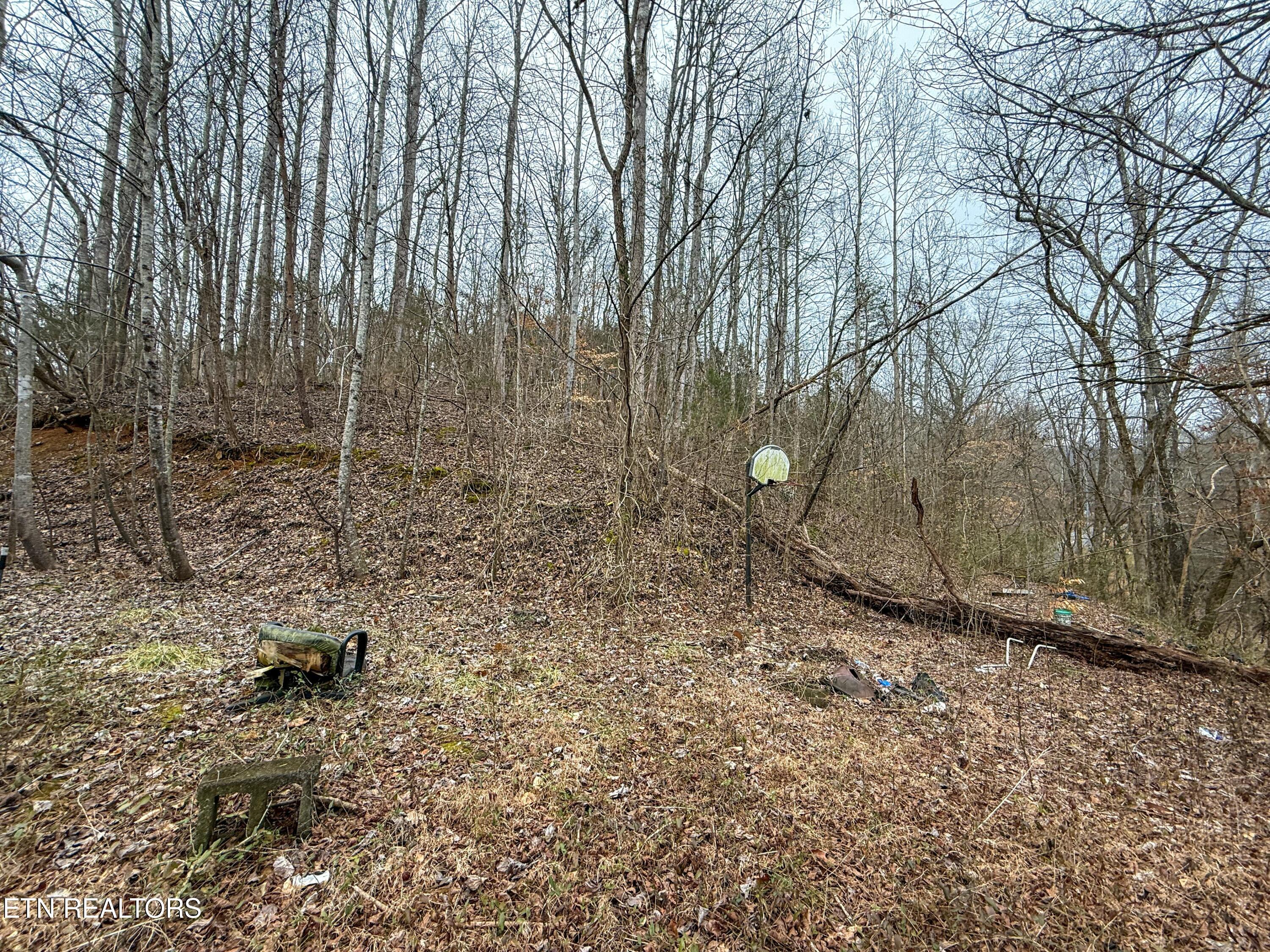 503 Sugar Loaf Road Seymour, TN 37865 - Photo 25 of 28 tempImageB2kjDO
