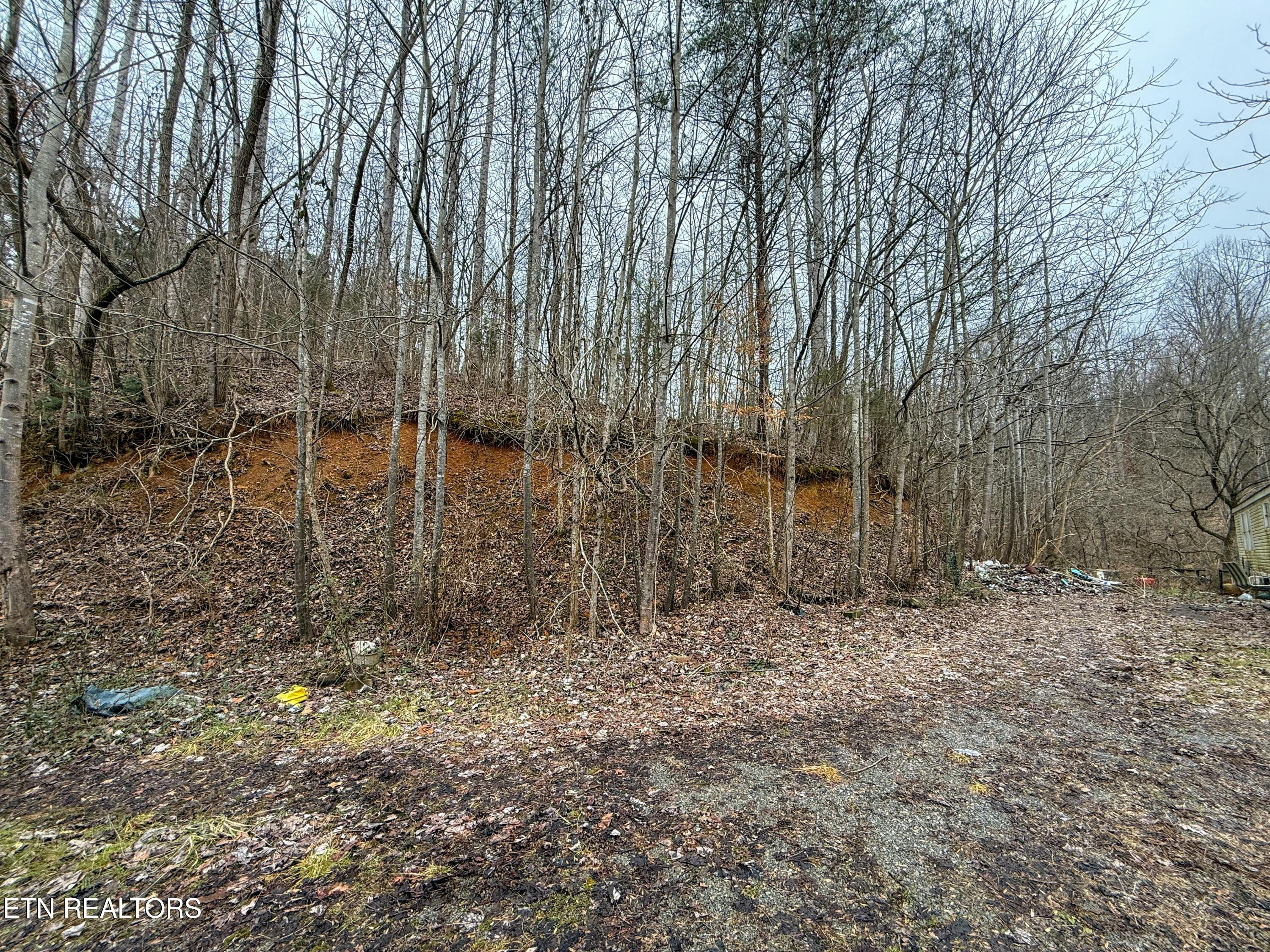 503 Sugar Loaf Road Seymour, TN 37865 - Photo 26 of 28 tempImagesfjDJB