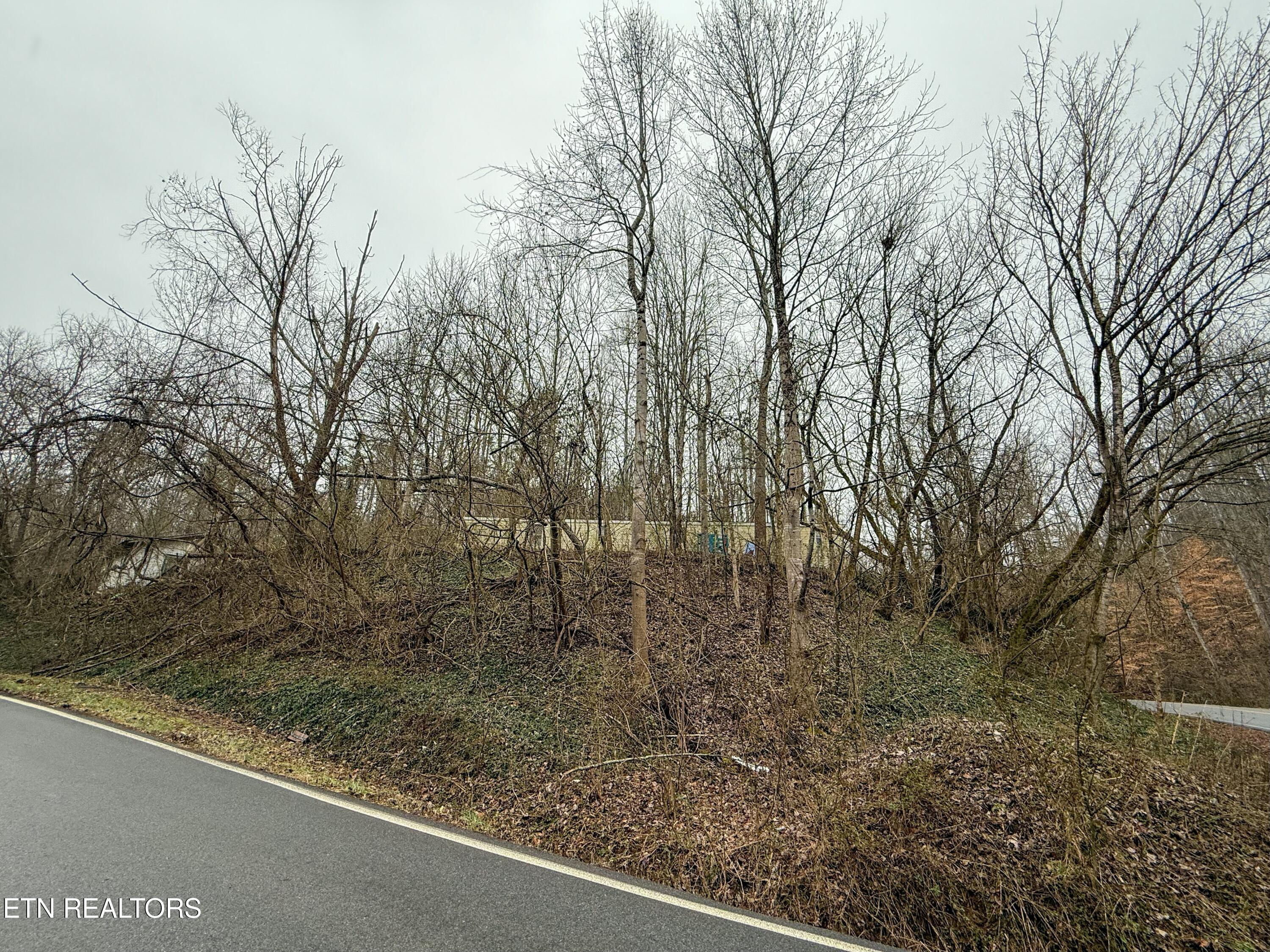 503 Sugar Loaf Road Seymour, TN 37865 - Photo 28 of 28 tempImageP0KFsG