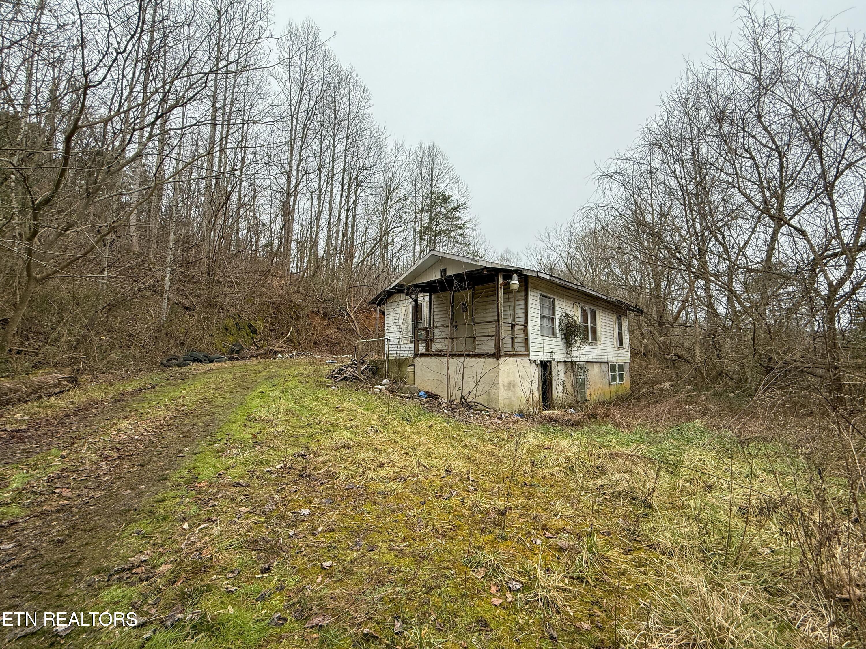 503 Sugar Loaf Road Seymour, TN 37865 - Photo 3 of 28 tempImageAzCYaV