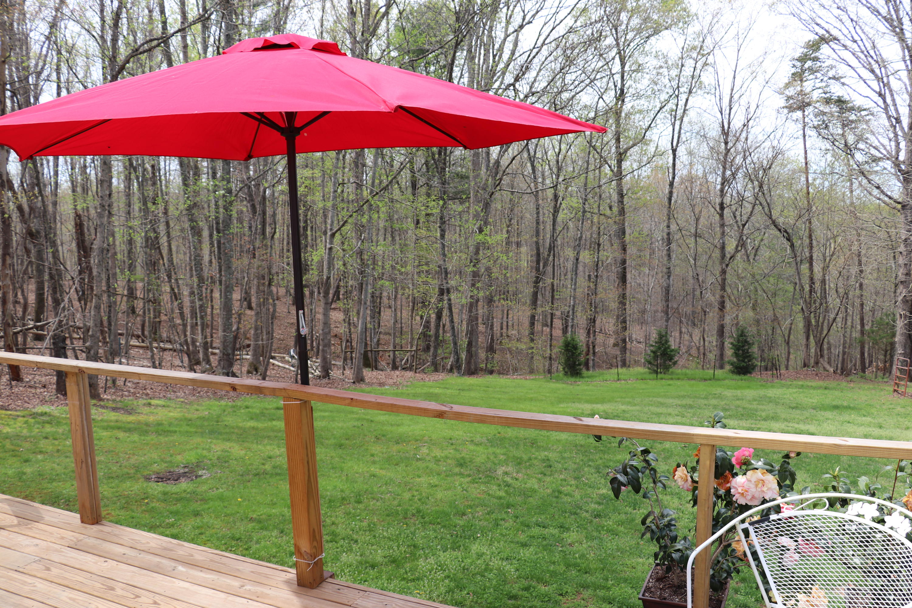 1157 Trough Run Road Moneta, VA 24121 - Photo 3 of 38 Back Yard