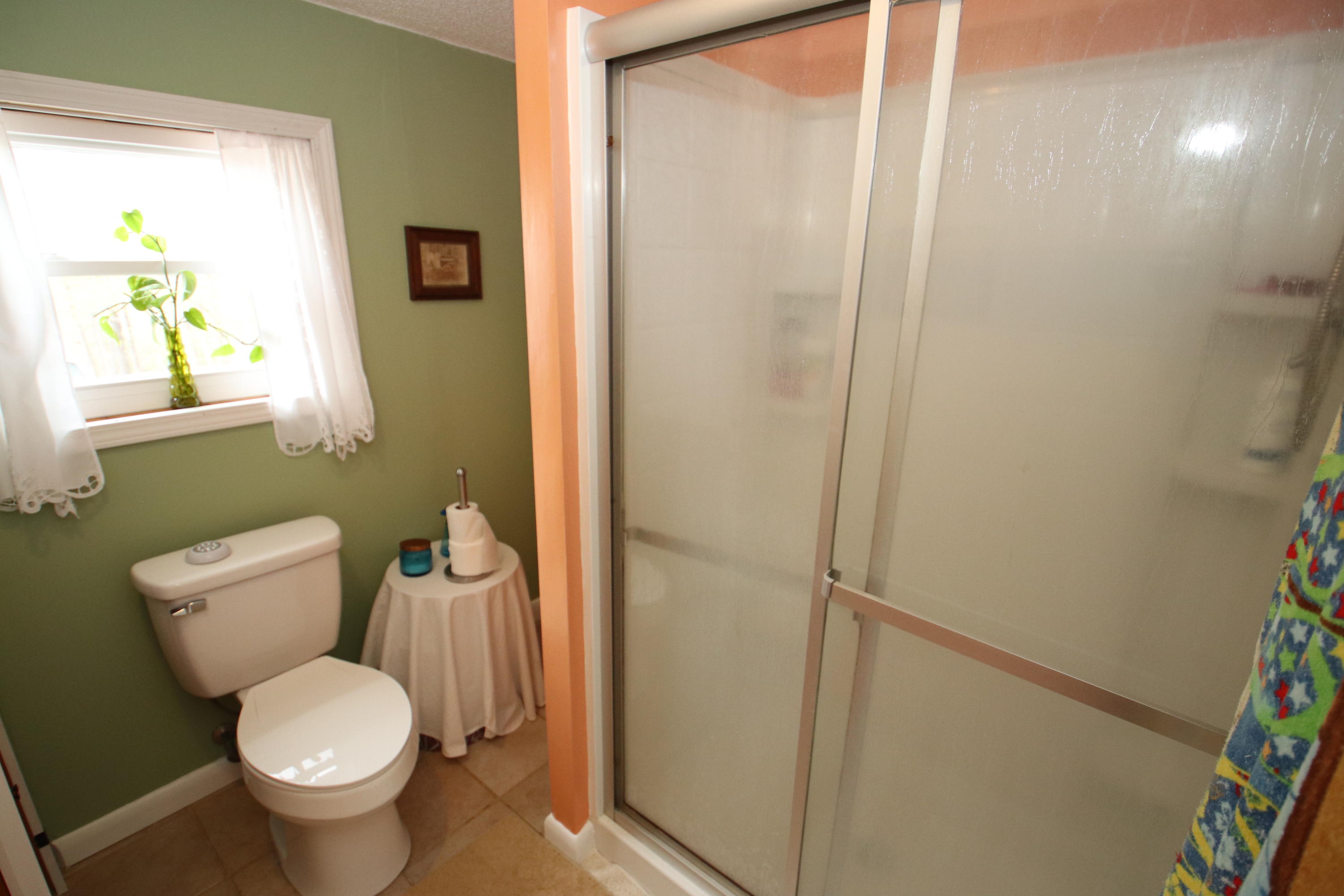 1157 Trough Run Road Moneta, VA 24121 - Photo 30 of 38 Master Bath