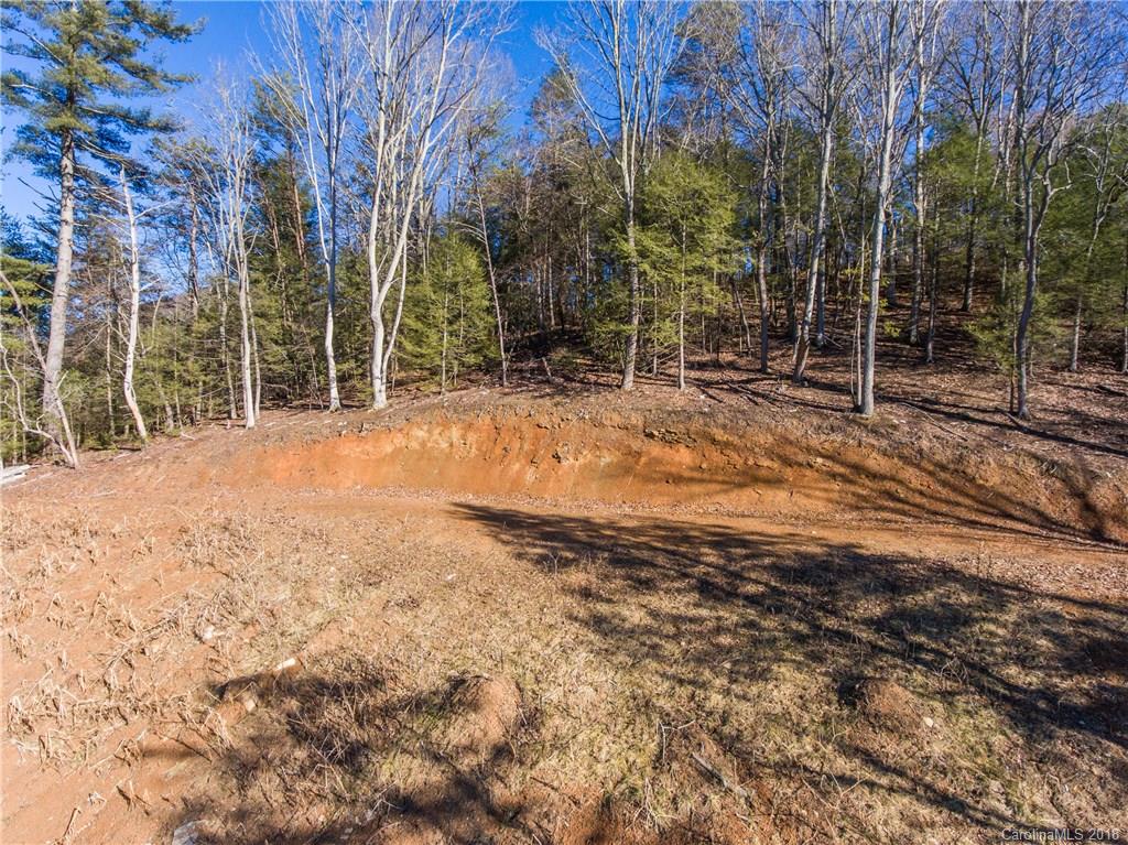 2818 Hyder Mountain Road Clyde, NC 28721 - Photo 3 of 11