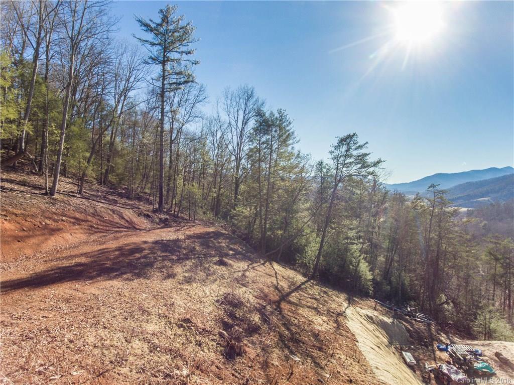 2818 Hyder Mountain Road Clyde, NC 28721 - Photo 6 of 11