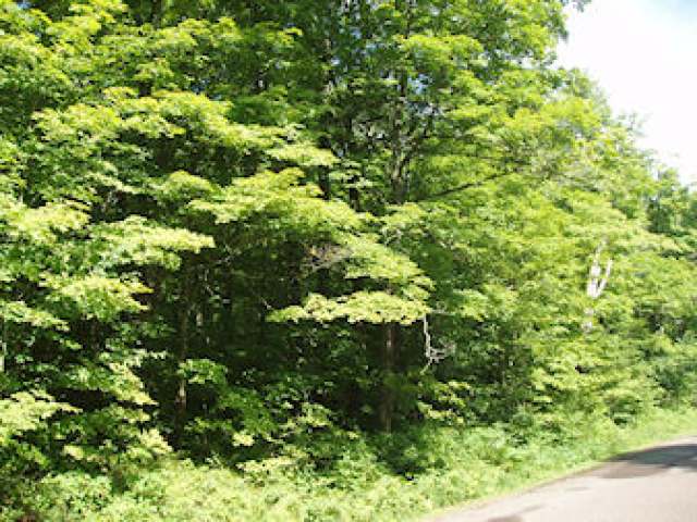 On Dam Road Winter, WI 54896 - Photo 1 of 3 Gallery Image 1